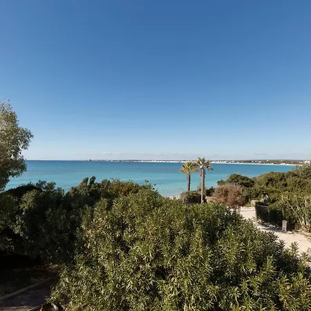 Elios Porto Cesareo